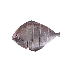 Black-Pomfret-Kala-Paplet-2.jpg