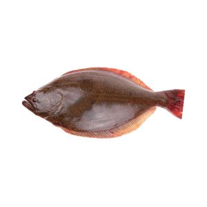 Halibut-Hajjam.jpg